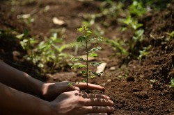 Foto: Adobe.stock.com - Ilham