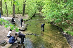 Freiwillige untersuchen das Makrozoobenthos in der Prießnitz bei Dresden-Klotzsche. Foto: Julia von Gönner / UFZ