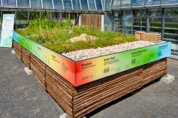 Neues Gründach-Exponat im Botanischen Garten der Universität Leipzig. Foto: André Künzelmann / UFZ Neues Gründach-Exponat im Botanischen Garten der Universität Leipzig. Foto: André Künzelmann / UFZ