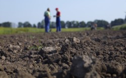 Gesunde Böden spielen eine große Rolle bei der Lösung globaler Herausforderungen wie Klimawandel und Ernährungssicherheit. Foto: André Künzelmann (UFZ)