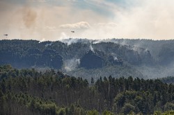 Waldbrände in der Sächsischen Schweiz Foto: André Künzelmann / UFZ