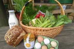  Foto: Netzwerk Solidarische Landwirtschaft