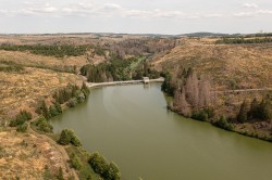 Rappbodetalsperre im Frühjahr 2023 mit Waldverlust Foto: André Künzelmann / UFZ