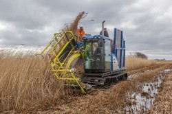 Using biomass from rewetted peatlands (f.i. Common reed Phragmites australis) for bioenegry together with carbon capture and storage could potentially also contribute to carbon dioxide removal. Photo: Tobias Dahms | AESA aerial 2018 Using biomass from rewetted peatlands (f.i. Common reed Phragmites australis) for bioenegry together with carbon capture and storage could potentially also contribute to carbon dioxide removal. Photo: Tobias Dahms | AESA aerial 2018