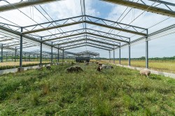 Species-rich, low-intensity pasture in the GCEF, the climate and land-use experiment of the UFZ Photo: André Künzelmann / UFZ Species-rich, low-intensity pasture in the GCEF, the climate and land-use experiment of the UFZ Photo: André Künzelmann / UFZ