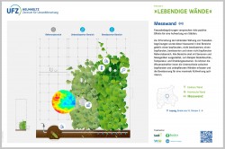 Um die kühlende Wirkung von Fassadengrün zu erforschen, wurde diese Hauswand mit Sensoren und Messgeräten bestückt. Foto: ARTKOLCHOSE / UFZ Um die kühlende Wirkung von Fassadengrün zu erforschen, wurde diese Hauswand mit Sensoren und Messgeräten bestückt. Foto: ARTKOLCHOSE / UFZ
