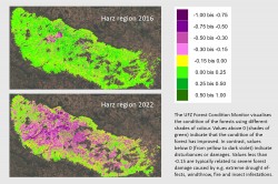 According to the UFZ forest condition monitor, 52 percent of the forest on the whole and particularly 76 percent of the conifers in the Harz region were severely damaged by 2022. In contrast, in 2017 only 9 percent of the forest and 8 percent of conifers showed severe damages. Photo: UFZ forest condition monitor / Data source: ESA (Copernicus Sentinel-2) According to the UFZ forest condition monitor, 52 percent of the forest on the whole and particularly 76 percent of the conifers in the Harz region were severely damaged by 2022. In contrast, in 2017 only 9 percent of the forest and 8 percent of conifers showed severe damages. Photo: UFZ forest condition monitor / Data source: ESA (Copernicus Sentinel-2)
