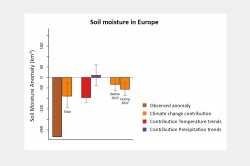 Mangel an Bodenfeuchte im Sommer 2022 und Beitrag des menschengemachten Klimawandels (Balken 1 und 2), welcher sich aufteilen lässt in Beiträge von Temperatur- und Niederschlagstrends (Balken 3 und 4) sowie Beiträge des Klimawandels vor und während des Jahres 2022 (Balken 5 und 6). Foto: UFZ Mangel an Bodenfeuchte im Sommer 2022 und Beitrag des menschengemachten Klimawandels (Balken 1 und 2), welcher sich aufteilen lässt in Beiträge von Temperatur- und Niederschlagstrends (Balken 3 und 4) sowie Beiträge des Klimawandels vor und während des Jahres 2022 (Balken 5 und 6). Foto: UFZ