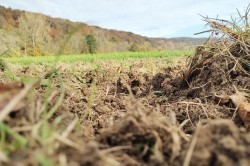 Böden enthalten natürlicherweise geringe Mengen an Metallen wie Cadmium. Durch den Klimawandel könnten sie künftig stärker mobilisiert werden und über den Nutzpflanzenanbau auch in Nahrungsketten des Menschen gelangen. Foto: Sören Drabesch Böden enthalten natürlicherweise geringe Mengen an Metallen wie Cadmium. Durch den Klimawandel könnten sie künftig stärker mobilisiert werden und über den Nutzpflanzenanbau auch in Nahrungsketten des Menschen gelangen. Foto: Sören Drabesch