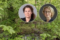 <p>Katrin Böhning-Gaese und Stefanie Eichiner</p> Foto: André Künzelmann / Peter Kiefer / Pfleiderer