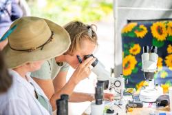 <p>Makrozoobenthos-Bestimmung bei einem FLOW-Einsatz am Ammerbach in Jena durch das FLOW-Team Saaletreff. Foto: </p> Foto: Peter Runkewitz <p>Makrozoobenthos-Bestimmung bei einem FLOW-Einsatz am Ammerbach in Jena durch das FLOW-Team Saaletreff. Foto: </p> Foto: Peter Runkewitz