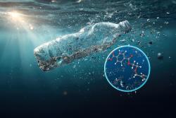 <p>Das Wasser des Nordatlantik enthält große Mengen an Nanoplastik. Nachweisen lassen sich vor allem Kunststoffe, aus denen beispielsweise Ein- und Mehrwegplastikflaschen, Folien oder<strong> </strong>Einwegtrinkbecher und Einmalbesteck bestehen. </p> Foto: Foto: ittipol, Adobe Stock / Grafik: Sebastian Wiedling, UFZ <p>Das Wasser des Nordatlantik enthält große Mengen an Nanoplastik. Nachweisen lassen sich vor allem Kunststoffe, aus denen beispielsweise Ein- und Mehrwegplastikflaschen, Folien oder<strong> </strong>Einwegtrinkbecher und Einmalbesteck bestehen. </p> Foto: Foto: ittipol, Adobe Stock / Grafik: Sebastian Wiedling, UFZ