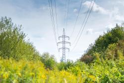 <p>Electricity from biogas as a useful complement to natural gas-fired power stations</p>