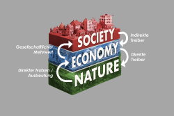 <p>Das neue Modell nachhaltiger Entwicklung: Natur, Wirtschaft und Gesellschaft inkl. Rückkopplungsschleifen.</p> Foto: CORDIO East Africa