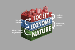 <p>The new systems model of nature, economy and society and feedback loops between them.&nbsp;</p>