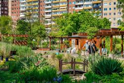 <p>Der Kolonnadengarten – seit 2008 Oase der Entspannung, Treffpunkt für kulturelle Veranstaltungen und Ort gärtnerischer Betätigung.</p> Foto: André Künzelmann / UFZ